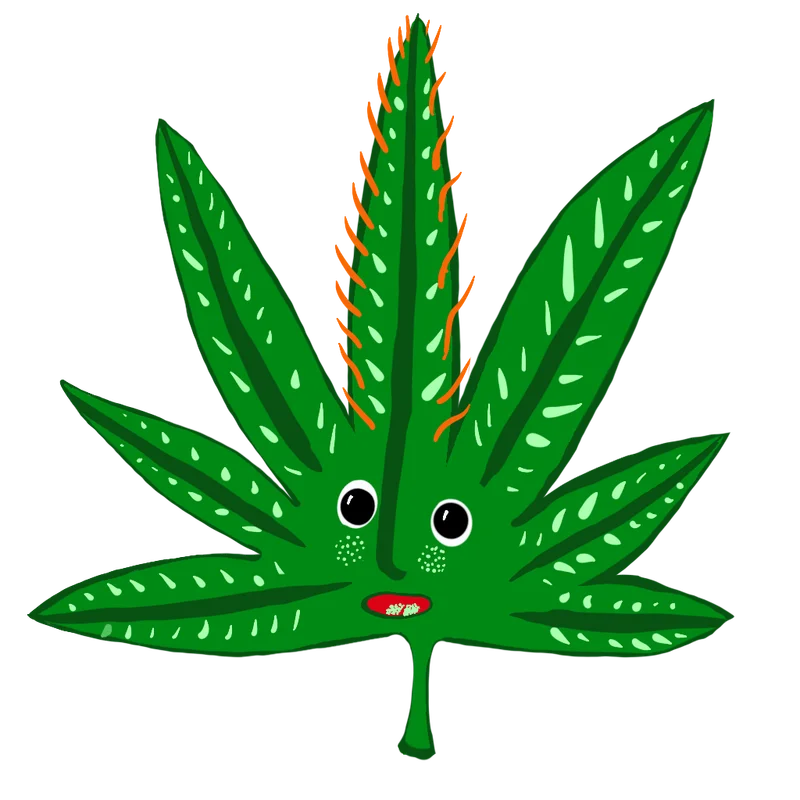 Herbs & Spices sample 3